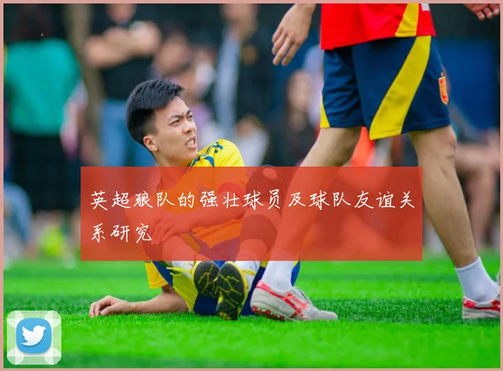 英超狼队的强壮球员及球队友谊关系研究