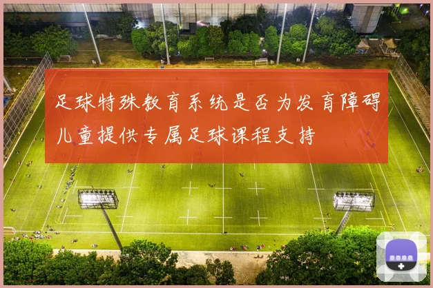 足球特殊教育系统是否为发育障碍儿童提供专属足球课程支持