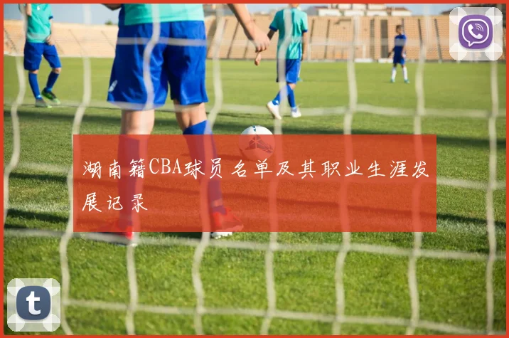 湖南籍CBA球员名单及其职业生涯发展记录