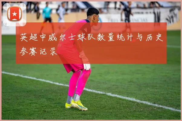 英超中威尔士球队数量统计与历史参赛记录